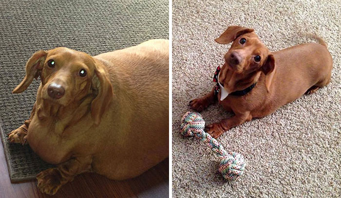 30 Adorable Good Boys And Girls That Lost Weight