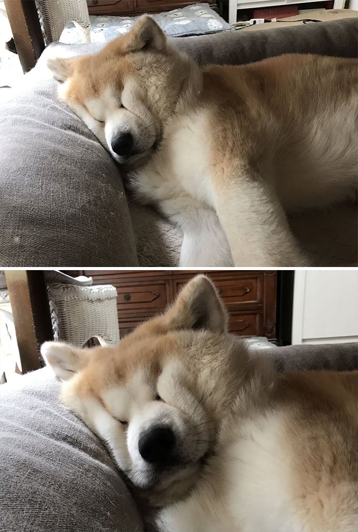 Your Usual Sleeping Face