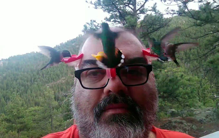 To Study Hummingbirds Up Close, This Man Attached Feeders To His Glasses