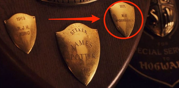 In 'The Sorcerer's Stone,' You Can See Mcgonagall's Name On The Quidditch Trophy Right Next To James Potter