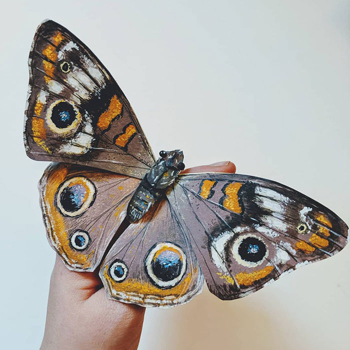 21 Gorgeous Paper Sculptures Of Butterflies And Beetles By Kerilynn Wilson