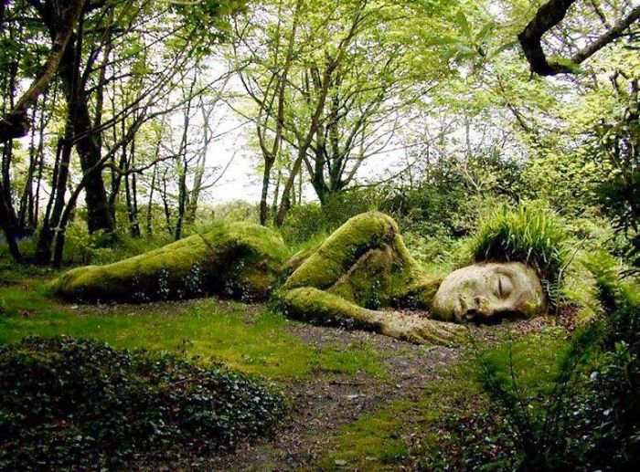 Incredible Living Sculpture In The Lost Gardens Of Heligan Changes Its Appearance With The Seasons