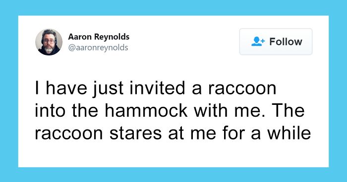 Guy With Poor Eyesight Thinks His Cat Is Climbing Into A Hammock, Realizes It’s An Unwelcome Guest Too Late