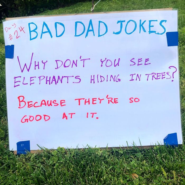 Man-Posts-Toms-Bad-Dad-Jokes-On-His-Lawn