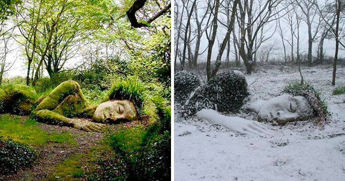 Incredible Living Sculpture In The Lost Gardens Of Heligan Changes Its Appearance With The Seasons