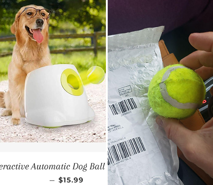 Ordered An Automatic Dog Ball Launcher, Got A Solid Foam Tennis Ball Instead