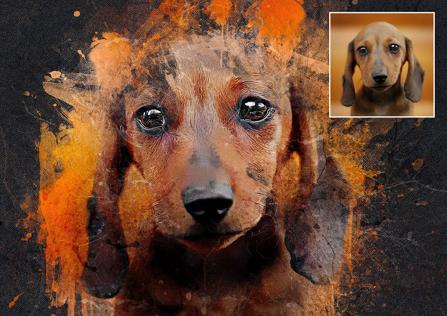 An Unforeseen Career Change That Sparked The Creation Of Beautiful Custom Pet Portraits