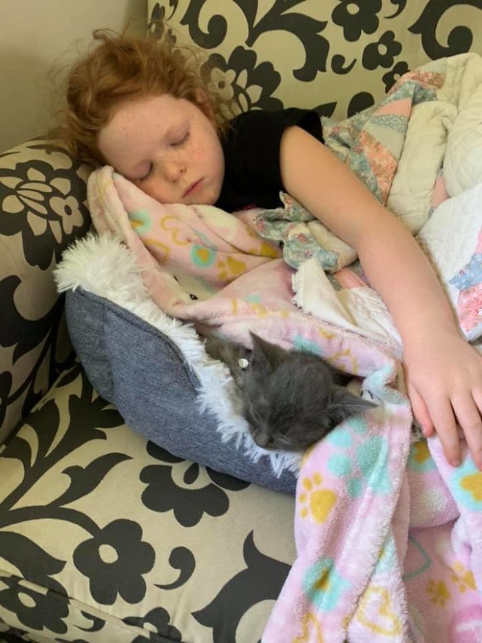 Rescued This Kitten Yesterday And He’s Already Settled With My Daughter!