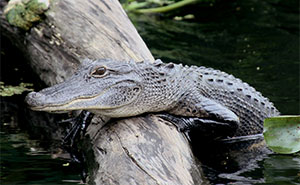 I Got Into Photography To Remind People Of The Value Of Nature