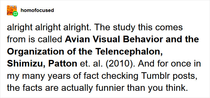 Scientists Share A Pigeon Facial Recognition Study, Tumblr User Summarizes It With A Hilarious Explanation