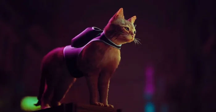 New PS5 Game 'Stray' Lets You Be A Cat In A Neon-Lit Cybercity And Solve Mysteries In It