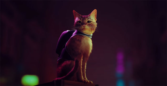 New PS5 Game 'Stray' Lets You Be A Cat In A Neon-Lit Cybercity And Solve Mysteries In It