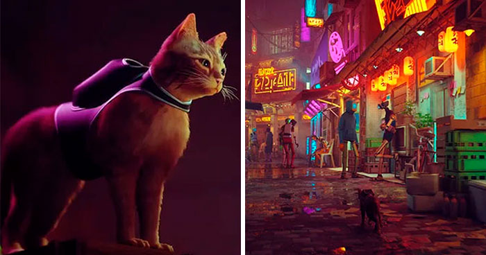 New PS5 Game ‘Stray’ Lets You Be A Cat In A Neon-Lit Cybercity And Solve Mysteries In It