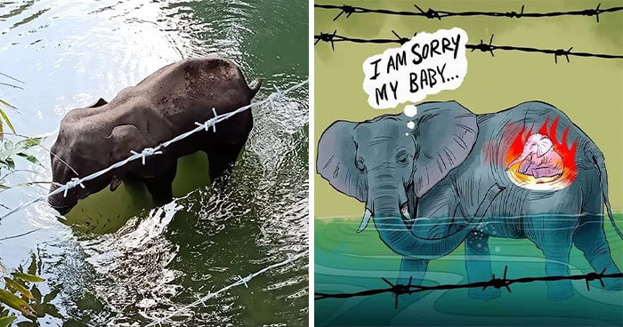Artists Pay Tribute To The Pregnant Elephant Who Died Due To Someone Stuffing A Pineapple With Fireworks