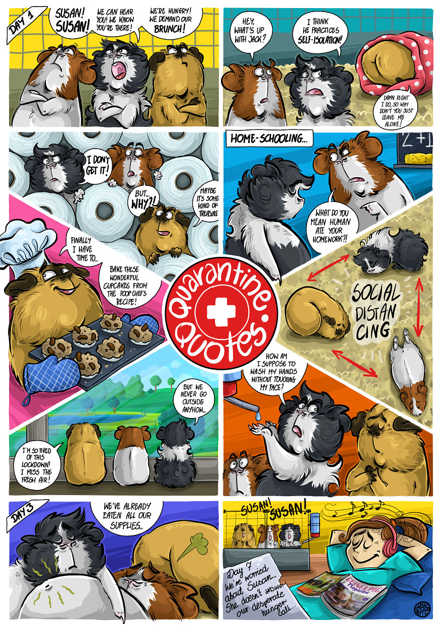 I Make Funny Comics About My Guinea Pigs And Cosplayed Them Into Various Characters I Make Funny Comics About My Guinea Pigs And Cosplayed Them Into Various Characters