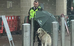 Security Guard For A Morrisons Store Goes Viral For Shielding A Waiting Dog From The Rain With His Umbrella
