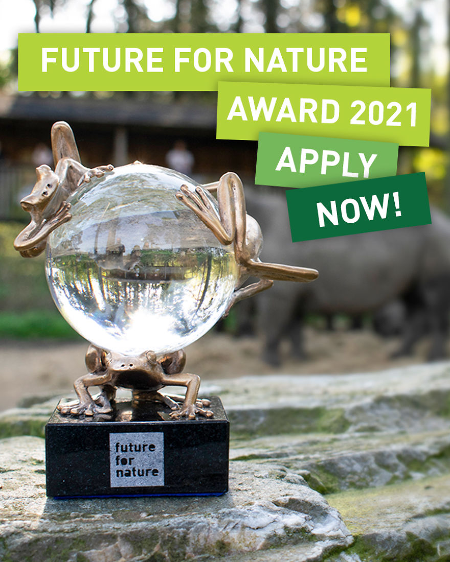 Applications For The Future For Nature Awards 2021 Are Now Open!