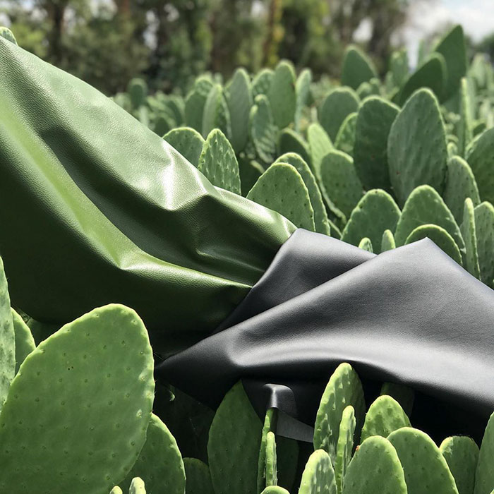 These Guys Found A Way To Make Leather Out Of Cactus Leaves To Help Save The Environment