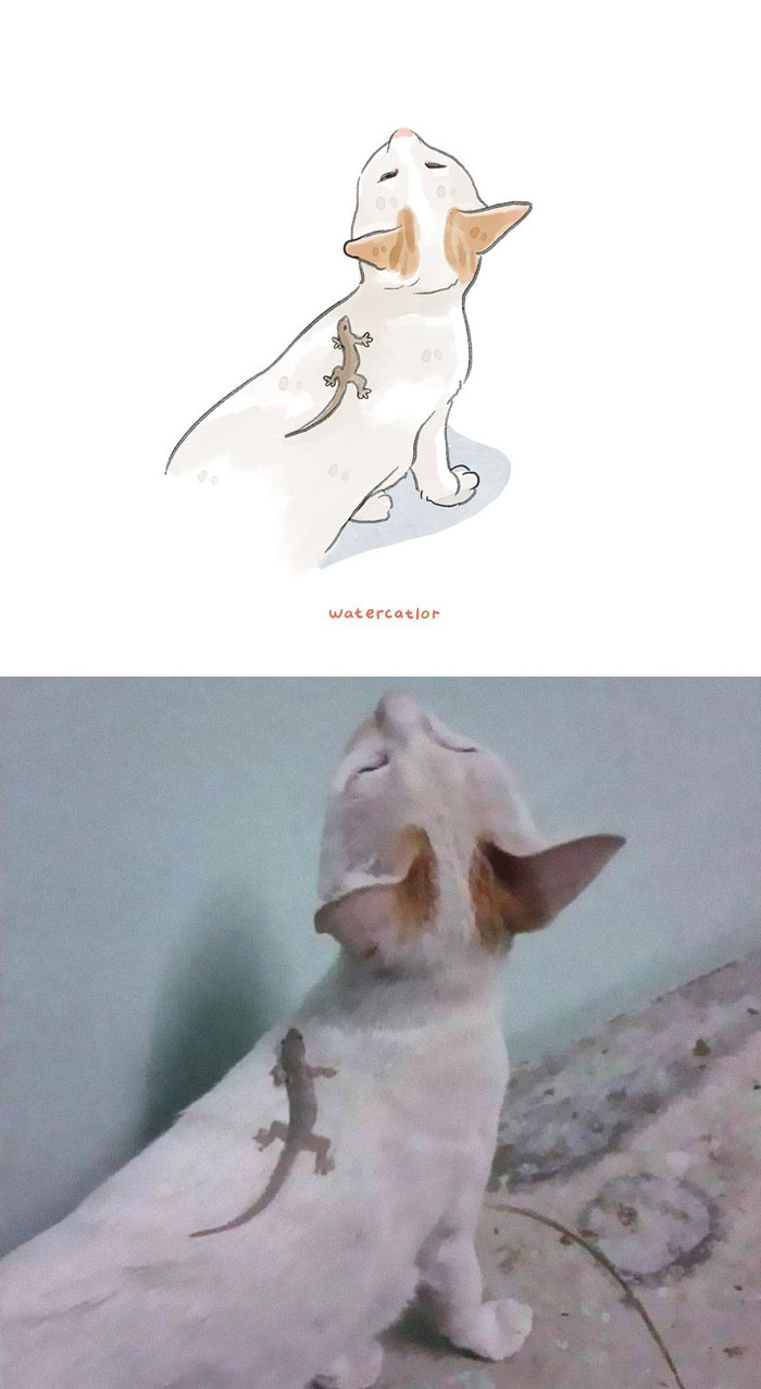 Watercolor-Cat-Paintings-Watercatlor