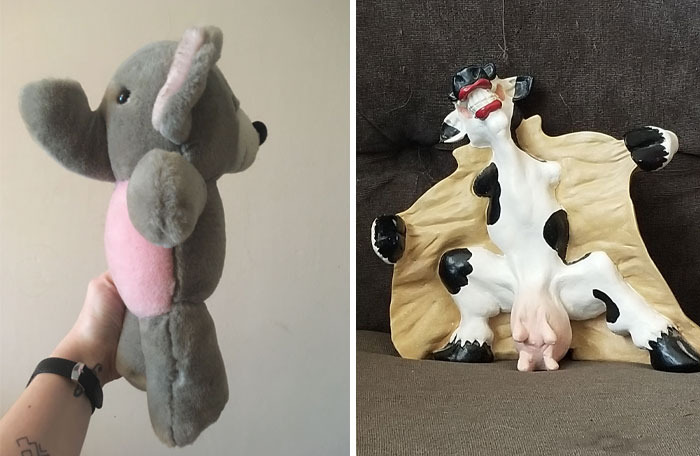 Hey Pandas, What Is The Weirdest Thing You Own? (Ended)