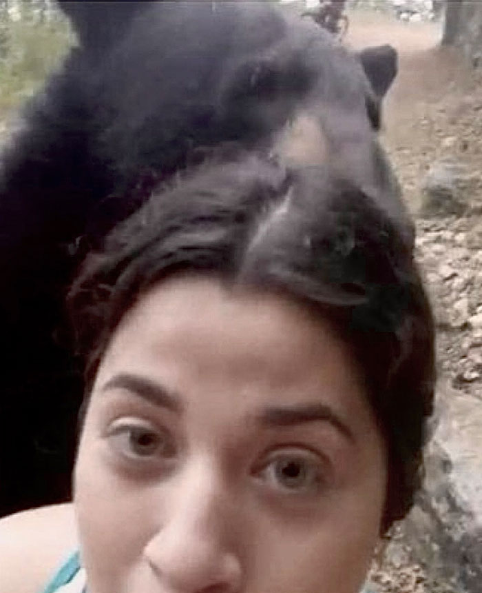 Bear Sneaks Up On A Group Of Calm Hikers