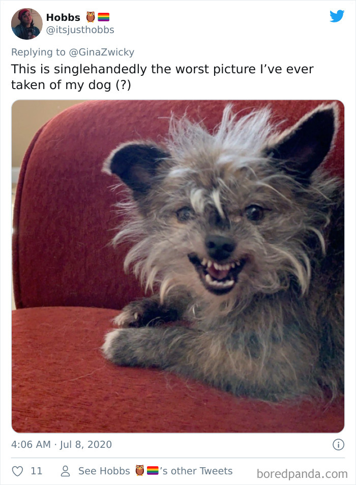 Ugly-Pictures-Of-Pets