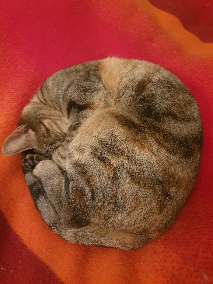 Almost A Perfect Circle...