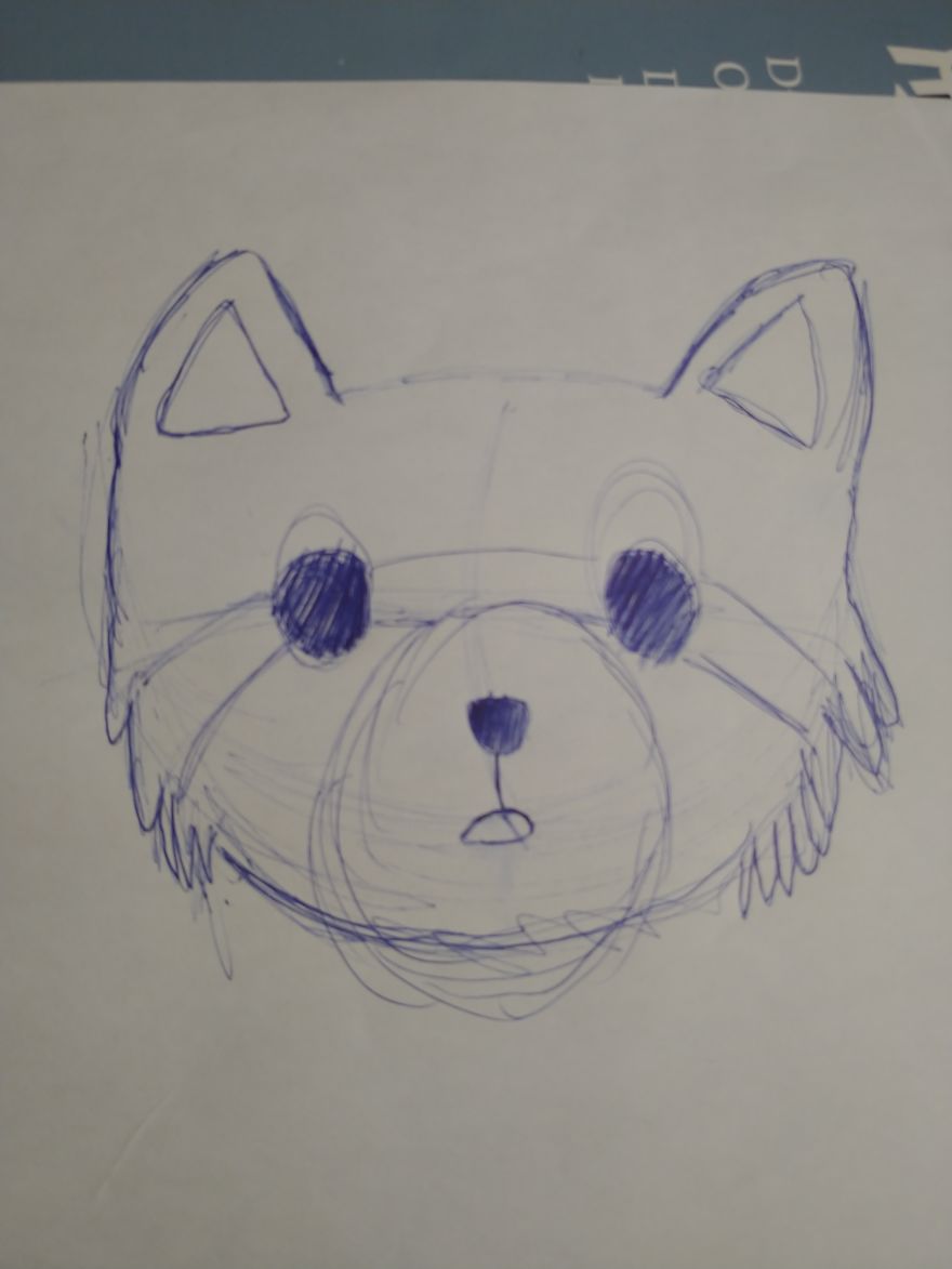Crappy Racoon Drawing