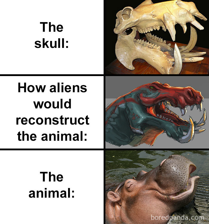 Skull-How-Aliens-Would-Reconstruct-Animal-Meme