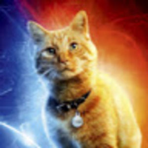 kathrynparris avatar