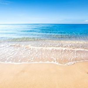 yirelizdelvalle avatar