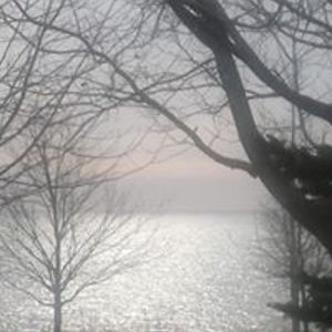 elayne_reeder avatar