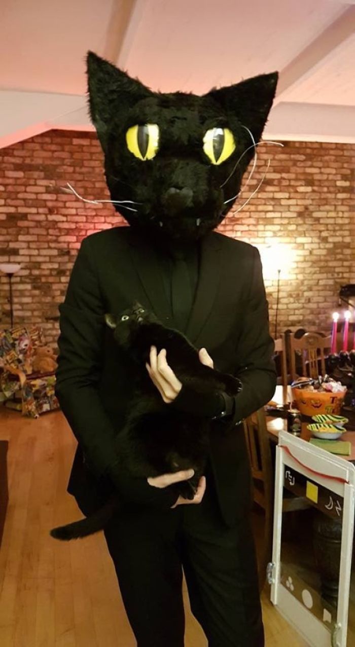 Mi amigo disfrazado de su gato en Halloween y la reacción del gato