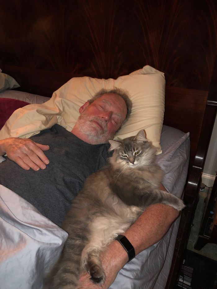 Mi padre después de decir "que el gato no se suba a la cama"