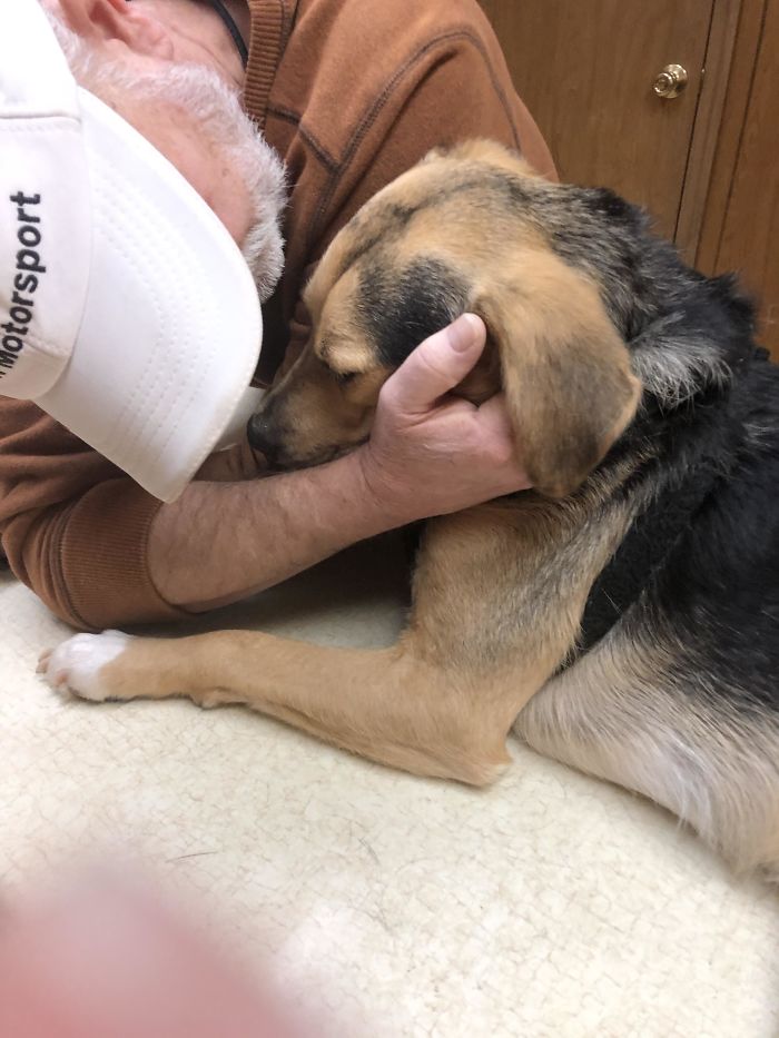 Mi padre no quería mascotas, aquí consolando al perro asustado en su 1ª visita al veterinario