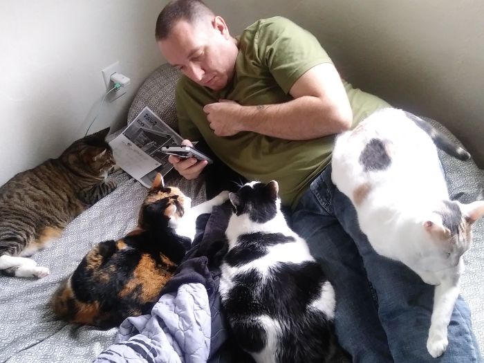 Hubs Was Never A Cat Person. Now He Tells Me How They Individually Like To Be Pet, And They All Behave And Don’t Fight When Sitting By Daddy. I Don’t Know Who Trained Who