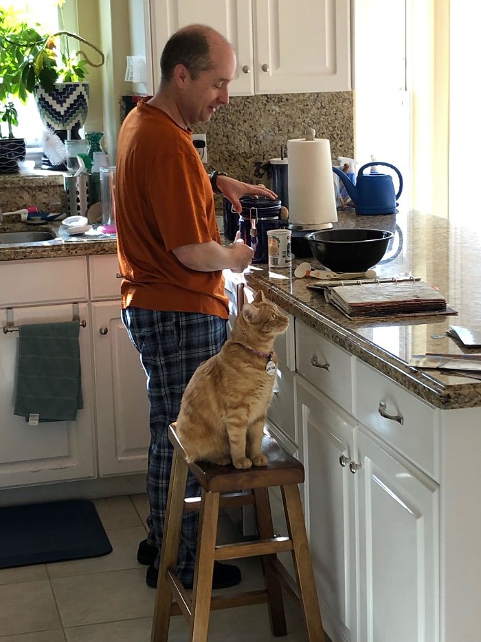 Took A Lot Of Convincing To Get One Cat, Let Alone Two. Cat #2 And Dad Are Now Best Buds Who Make Pancakes Together