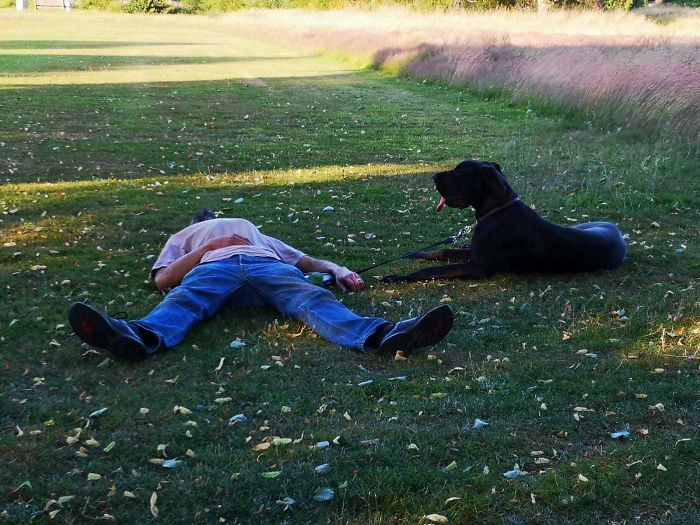 He Spent 20 Years Refusing To Get A Dog, Now They Play Until They Both Fall Over