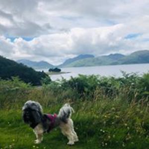 charlotteannmair avatar