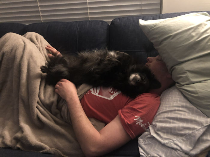 He Tells People He’s Not Much Of An Animal Person But The Second He Gets Home He’s Wanting Cuddles And Making Sure Our Fur Baby Is Happy And Cozy