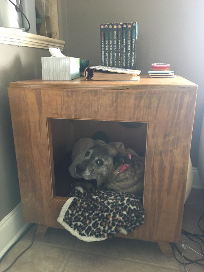 My Dad Claims He Doesn’t Love Our Dog, But He Built This End Table With A Little Hut For Her. If That’s Not Love, I Don’t Know What Is