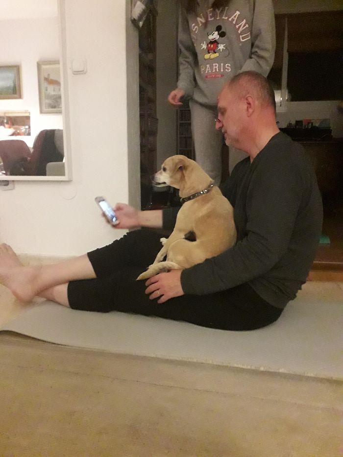 "I Don't Want More Dogs" Now They're Taking Selfies After Doing Yoga