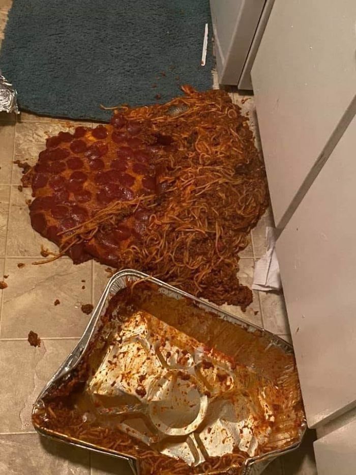 Dropped My Pizzaghetti