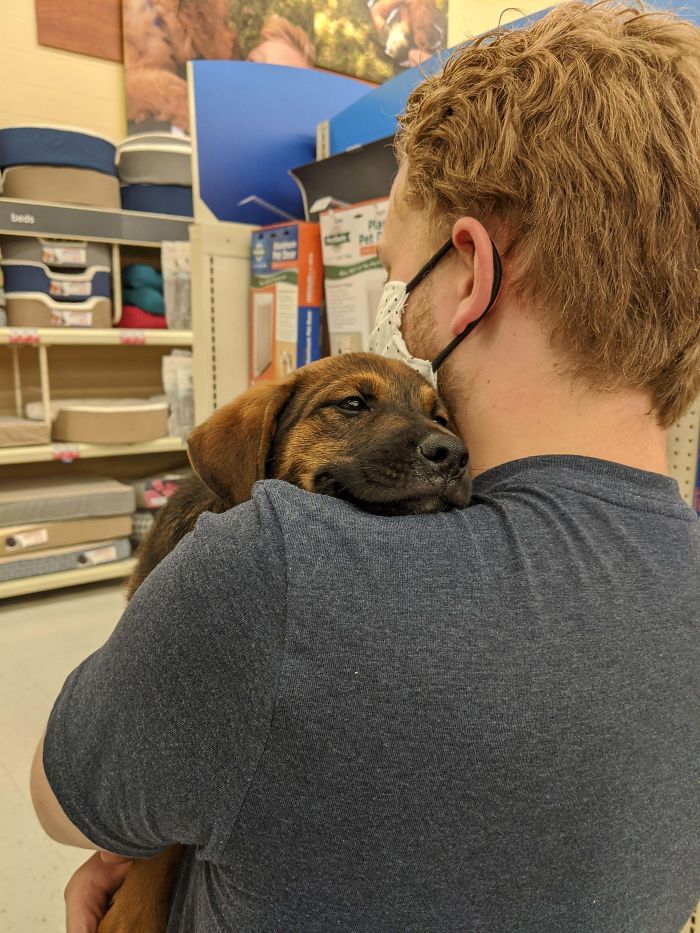 First Time Being Carried After Being Rescued
