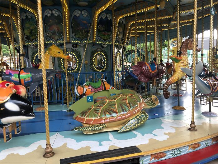 This Carousel In Hong Kong Has A Sea Turtle Mounted To The Floor For Physically Impaired Children
