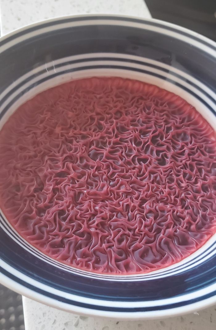 I Accidentally Left A Bowl Of Beet Juice On The Counter And The Top Layer Rippled