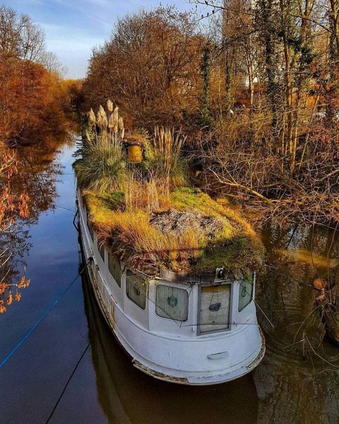 What Happens When Nature Takes Over- This Boat On A River In Frankfurt, Germany