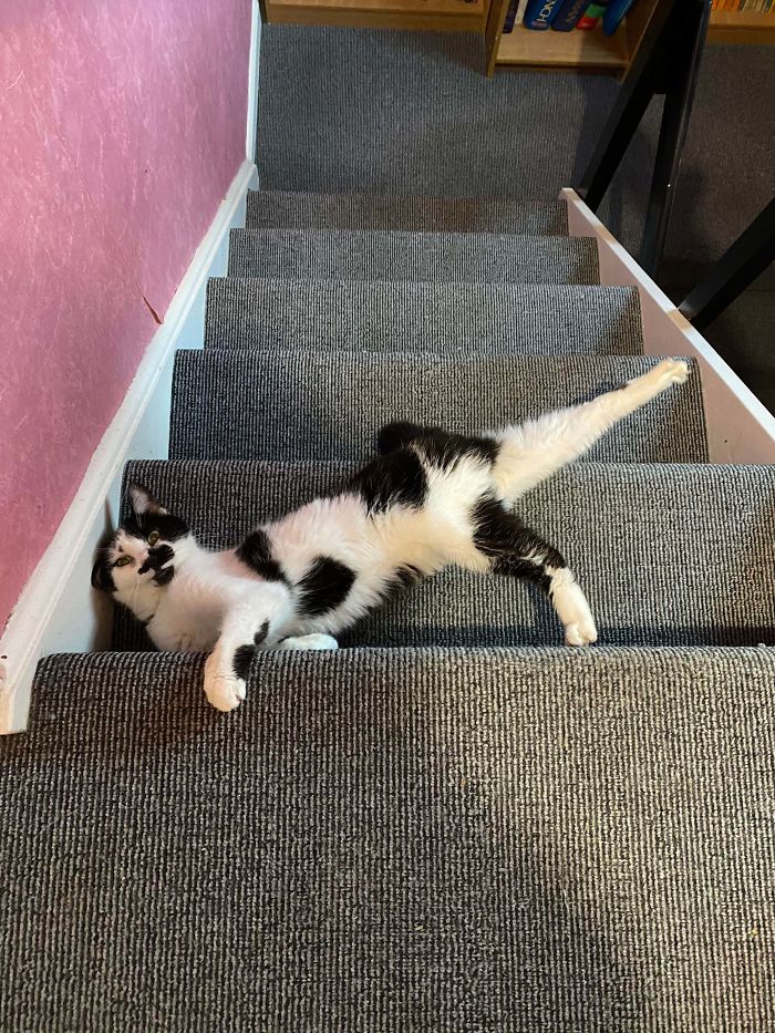 She Tried Out A New Pose On The Stairs Today