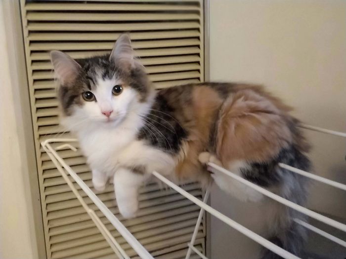 Oprah Loves Hanging On The Clothes Horse