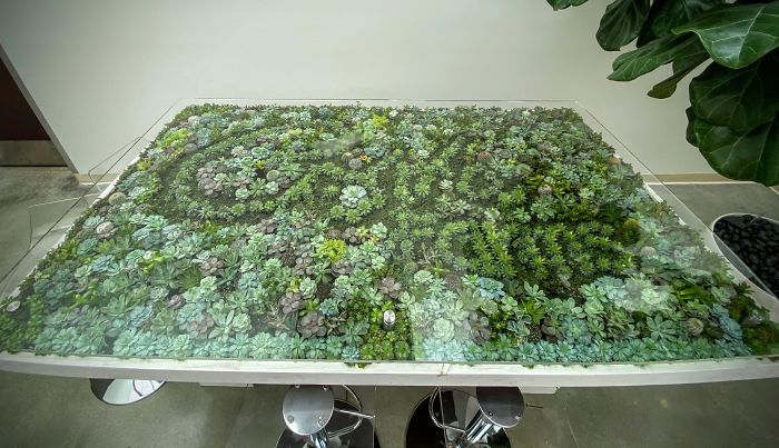 Succulent-Tables